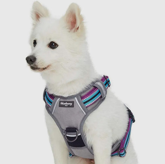3 Colors, 3M Reflective Stripes No Pull Harness Vest