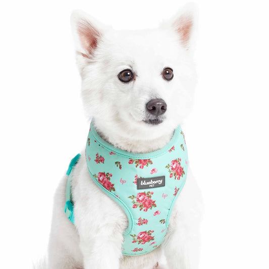 3 Colors, Petal Paws Floral Dog Harness Vest
